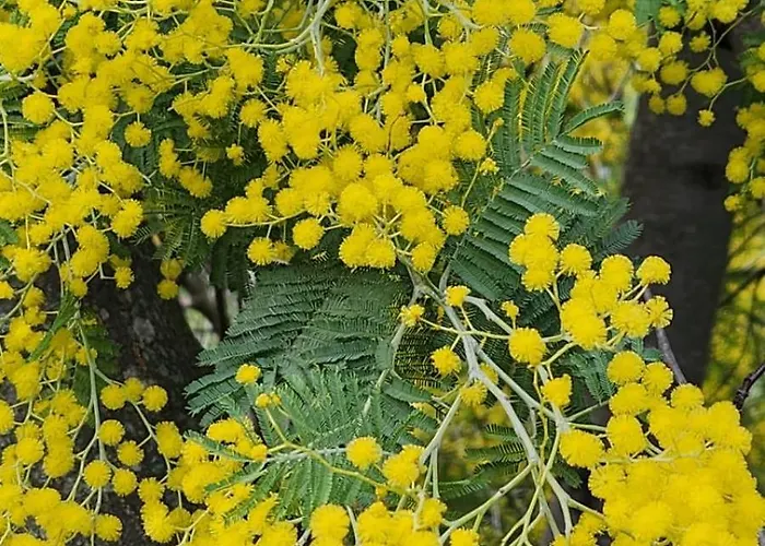 Escapade Ensoleillee Sur La Cote D'azur - Cap Esterel *